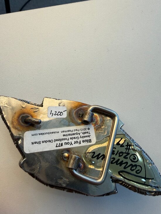 Rare Paul Pearman sigend Megalodon shark tooth & aquamarine Gem belt buckle main image 7